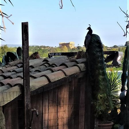 B&B Villa San Marco Agrigento Exterior foto