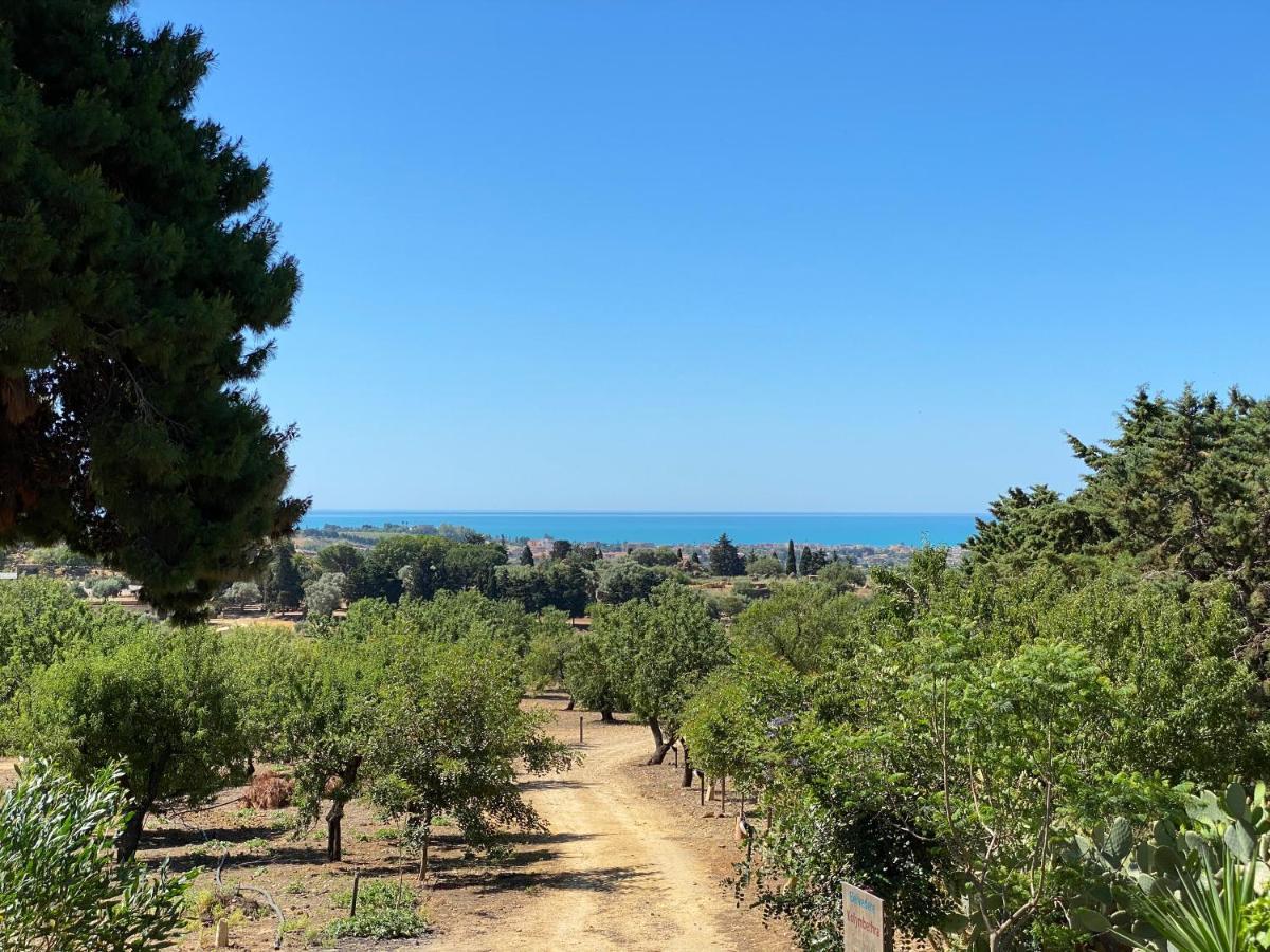 B&B Villa San Marco Agrigento Exterior foto